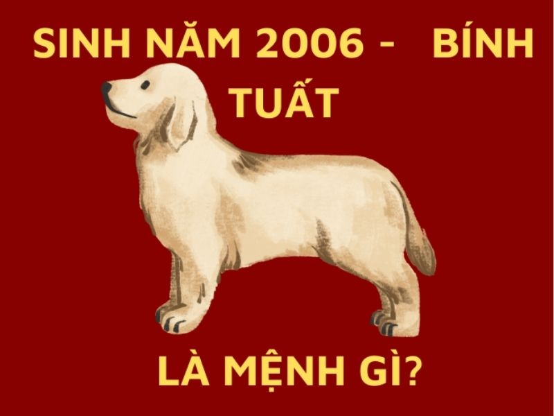 2006 mệnh gì