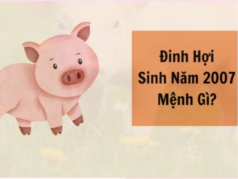 Chi tiết thông tin về năm sinh 2007 mệnh gì