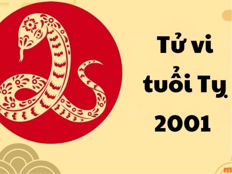 Nam, nữ sinh năm 2001 thuộc cung mệnh nào?