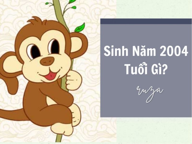 Người sinh vào năm 2004 là tuổi gì