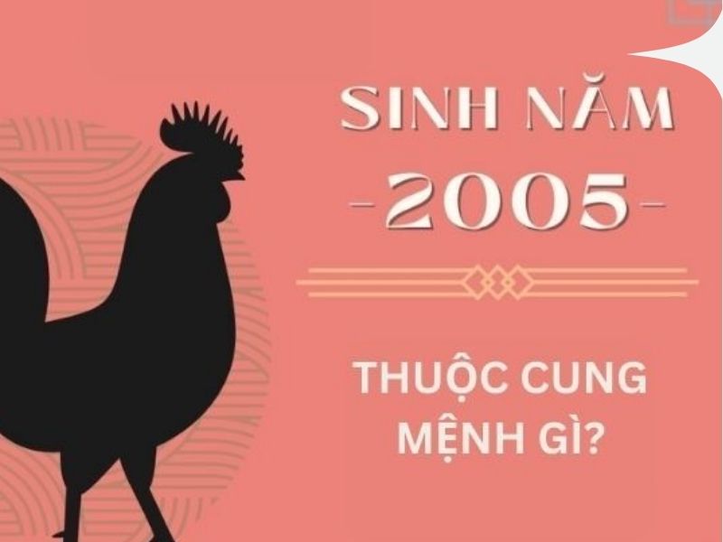 Sinh năm 2005 hợp với những con số nào?