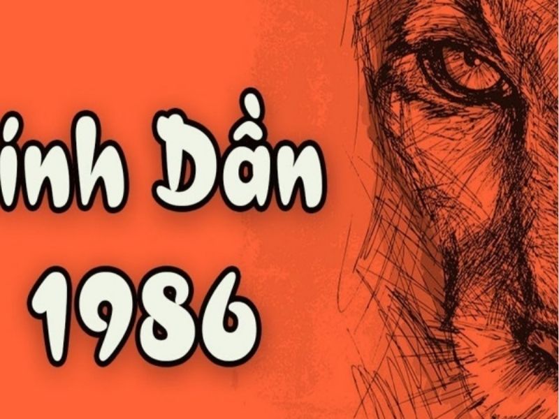 Tuổi Bính Dần 1986 hợp với những màu gì?