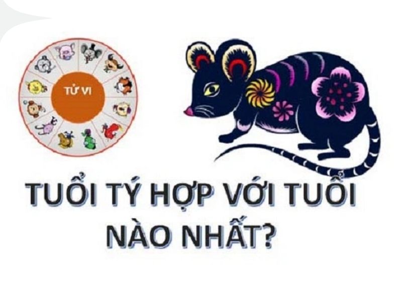 Tuổi Tý hợp với những người có tuổi nào?